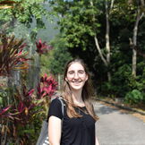 Portrait Daniela Weber mit Wald im Hintergrund