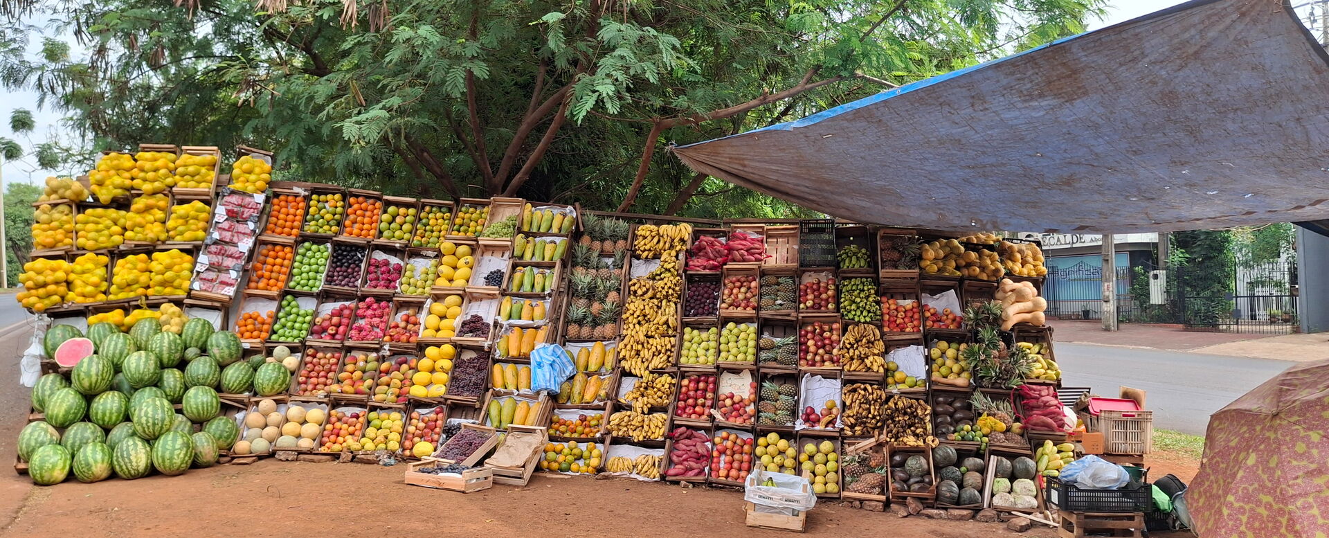 großer Obststand mit Obst in Kisten auf sandigem Boden und mit einem Sonnensegel